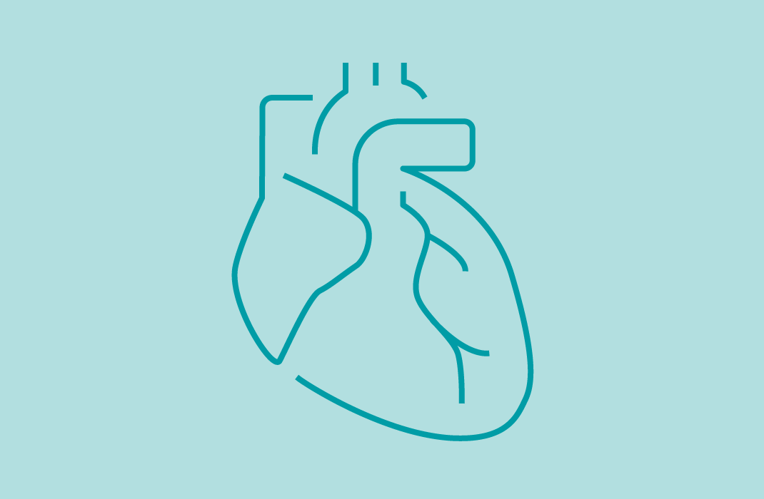 Scientists Develop a New Model to Study Hypertension and Aortic Aneurysms